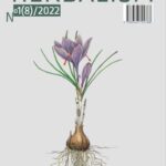 Ukazał się 8 numer czasopisma naukowego Herbalism